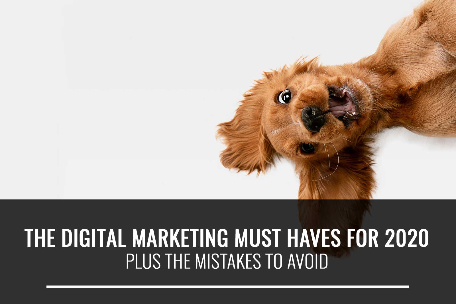 What are the must haves in digital marketing for 2020 PLUS the mistakes ...