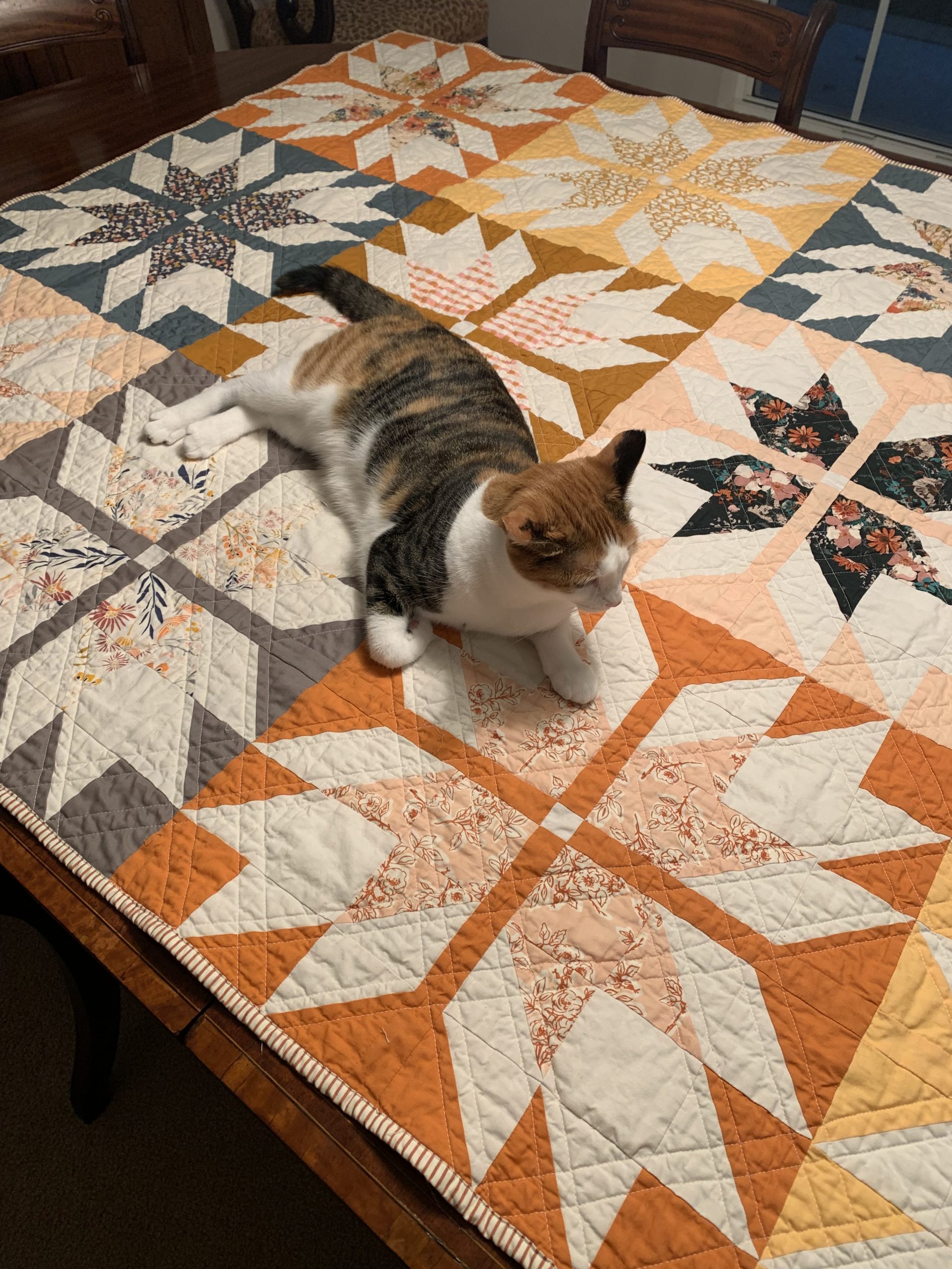 Erica Thaler Quilt